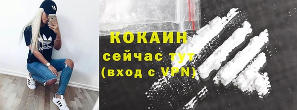 твердый Снежногорск