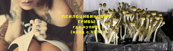 синтетический гашиш Алексеевка